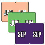 Year & Month Color-Coded Labels